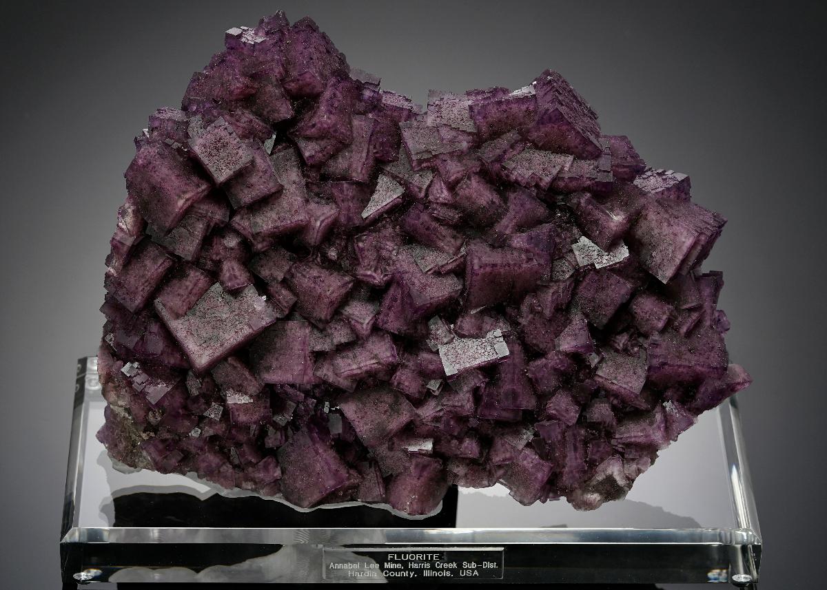 CC18672 specimen image