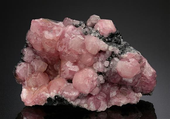 CC18675 specimen image