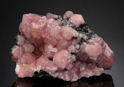 CC18675 specimen image