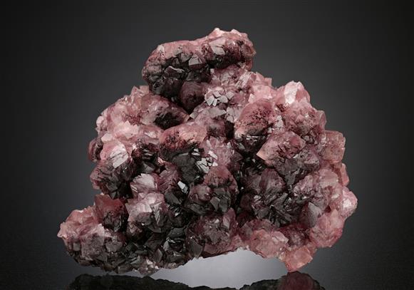 CC18678 specimen image
