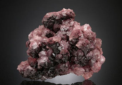 CC18678 specimen image