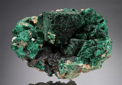 CC18684 specimen image