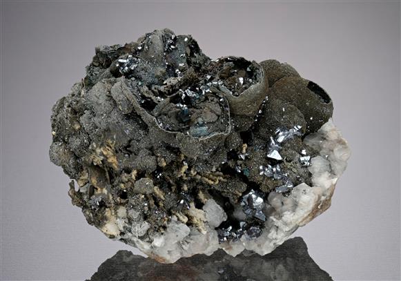 CC18688 specimen image