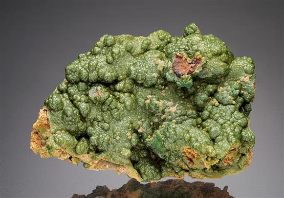 CC18689 specimen image