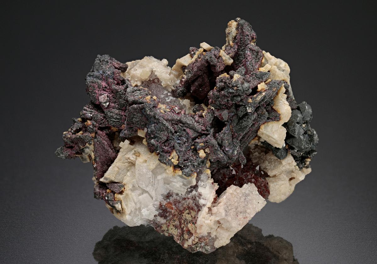 CC18694 specimen image