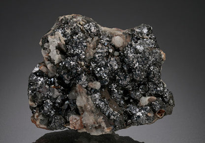 CC18696 specimen image