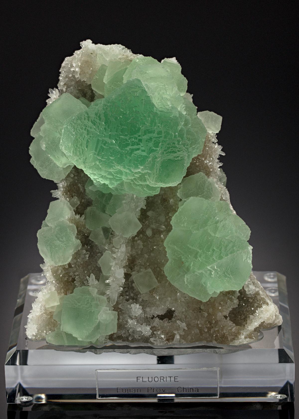 CC18700 specimen image