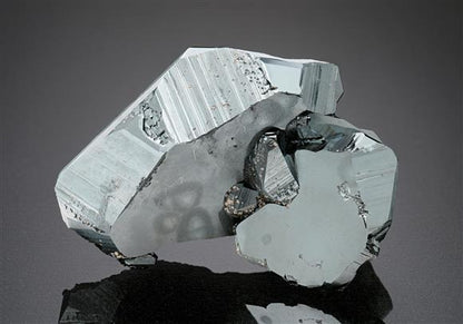 CC18712 specimen image