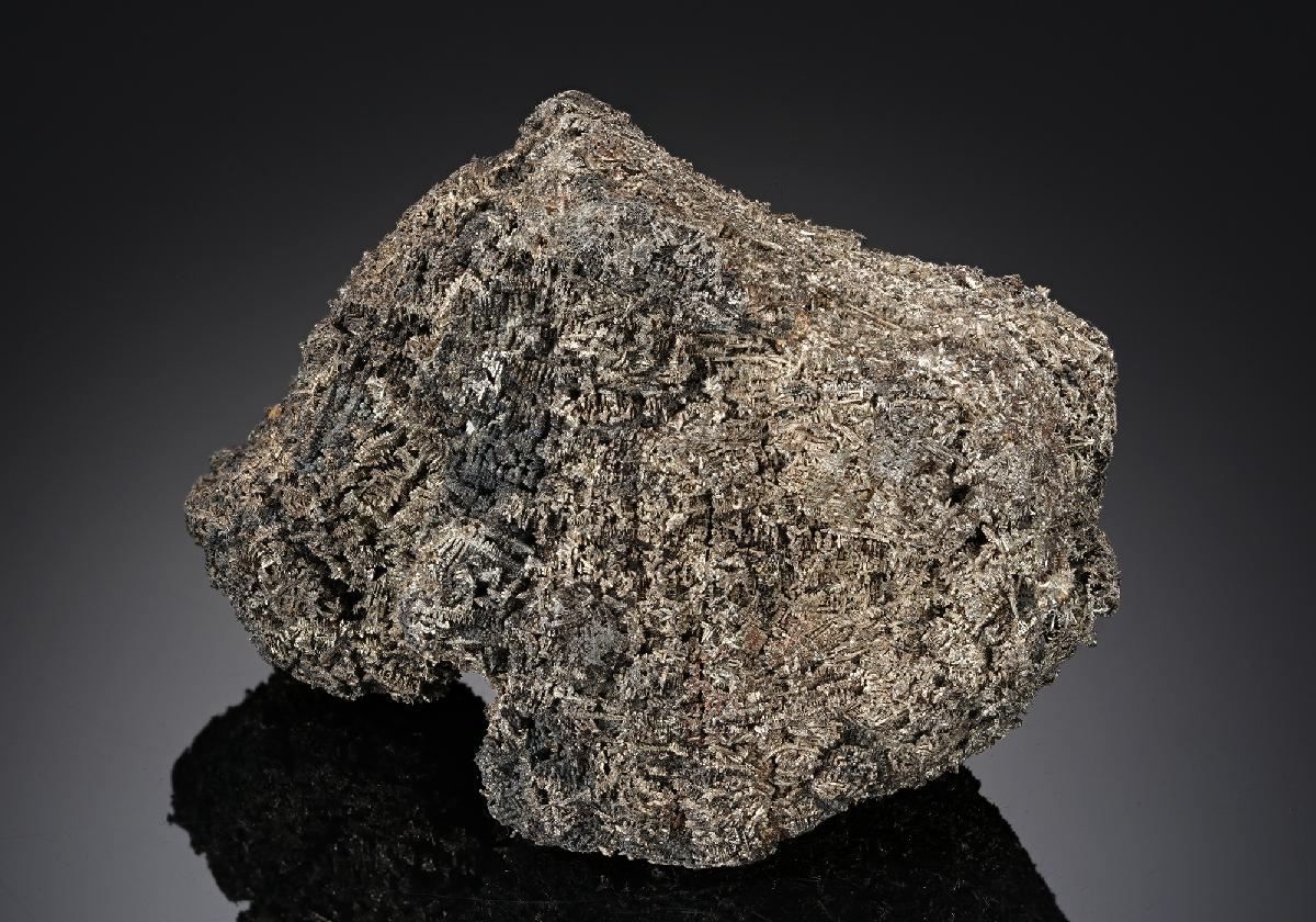 CC18716 specimen image