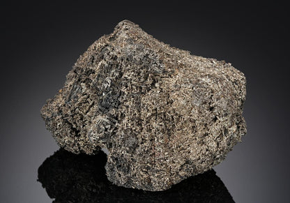 CC18716 specimen image