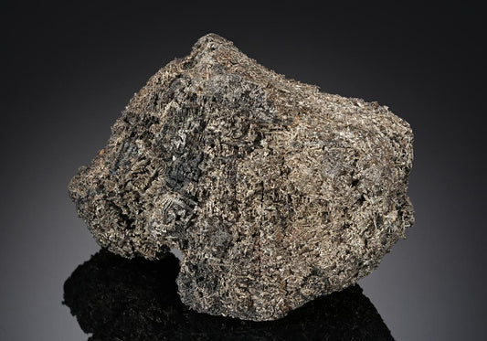 CC18716 specimen image