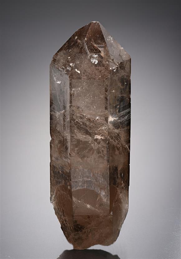 CC18738 specimen image