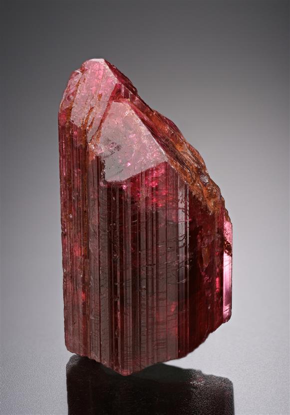 CC18742 specimen image