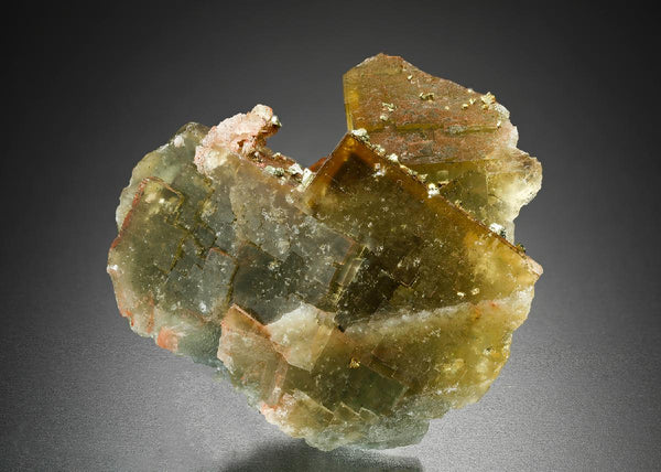CC18747 specimen image