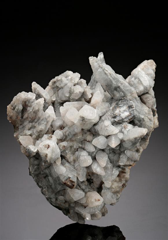 CC18748 specimen image