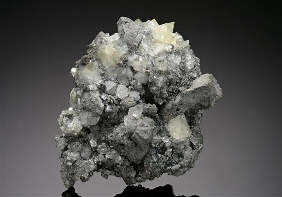 CC18761 specimen image