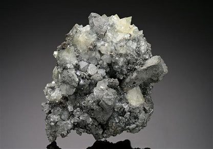 CC18761 specimen image