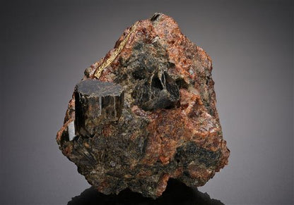CC18789 specimen image