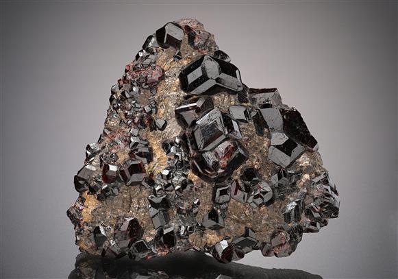 CC18804 specimen image