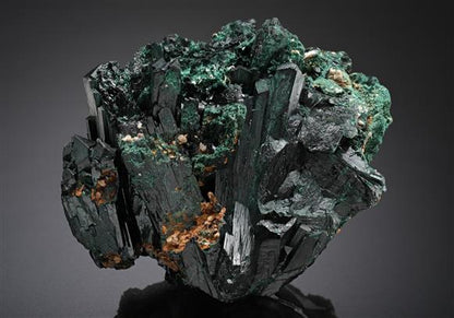 CC18805 specimen image
