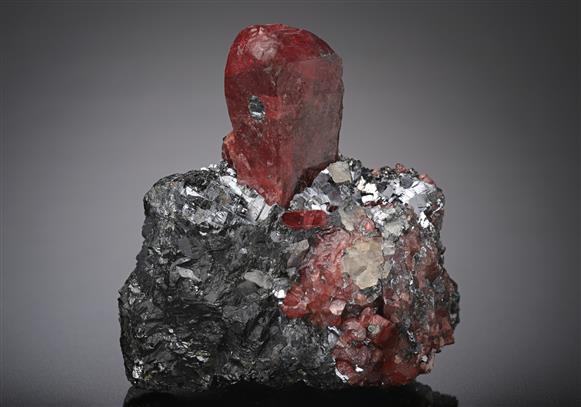 CC18806 specimen image