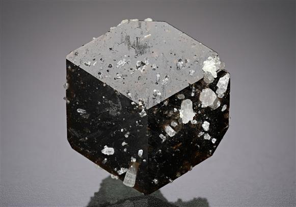 CC18808 specimen image