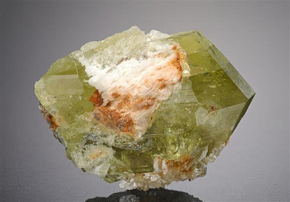 CC18813 specimen image