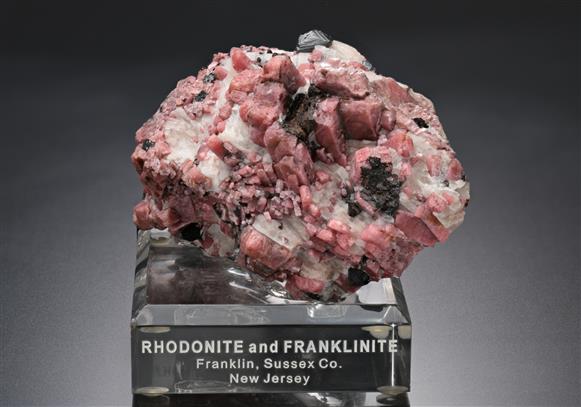 CC18820 specimen image
