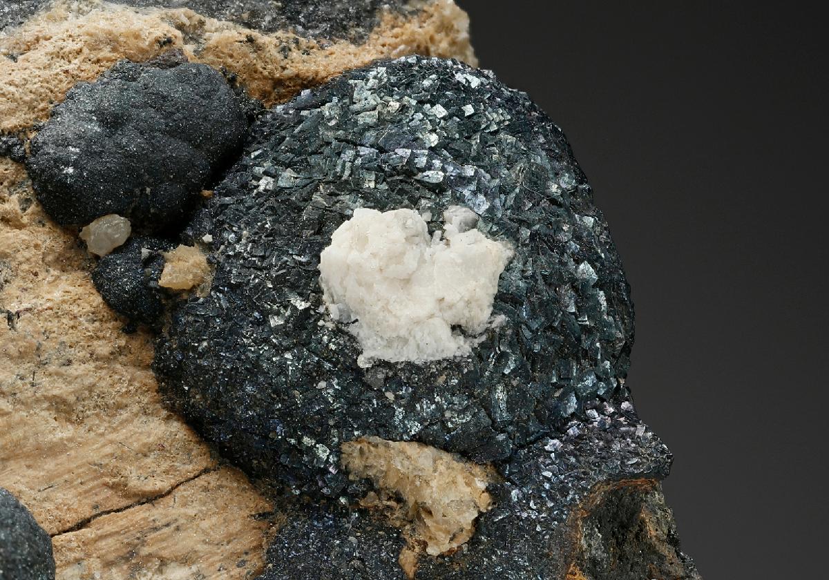 CC18822 specimen image