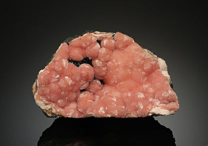 CC18824 specimen image