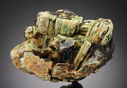 CC18825 specimen image