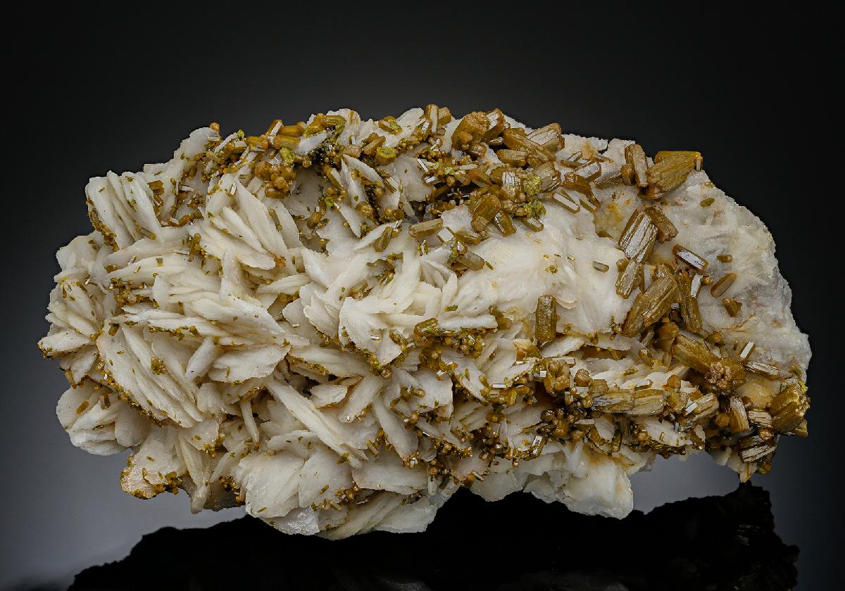 CC18830 specimen image