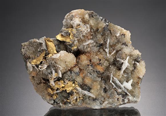 CC18831 specimen image