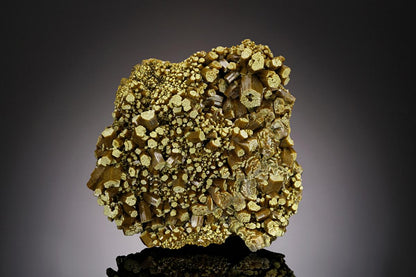 CC18835 specimen image