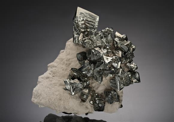 CC18837 specimen image