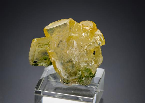 CC18839 specimen image