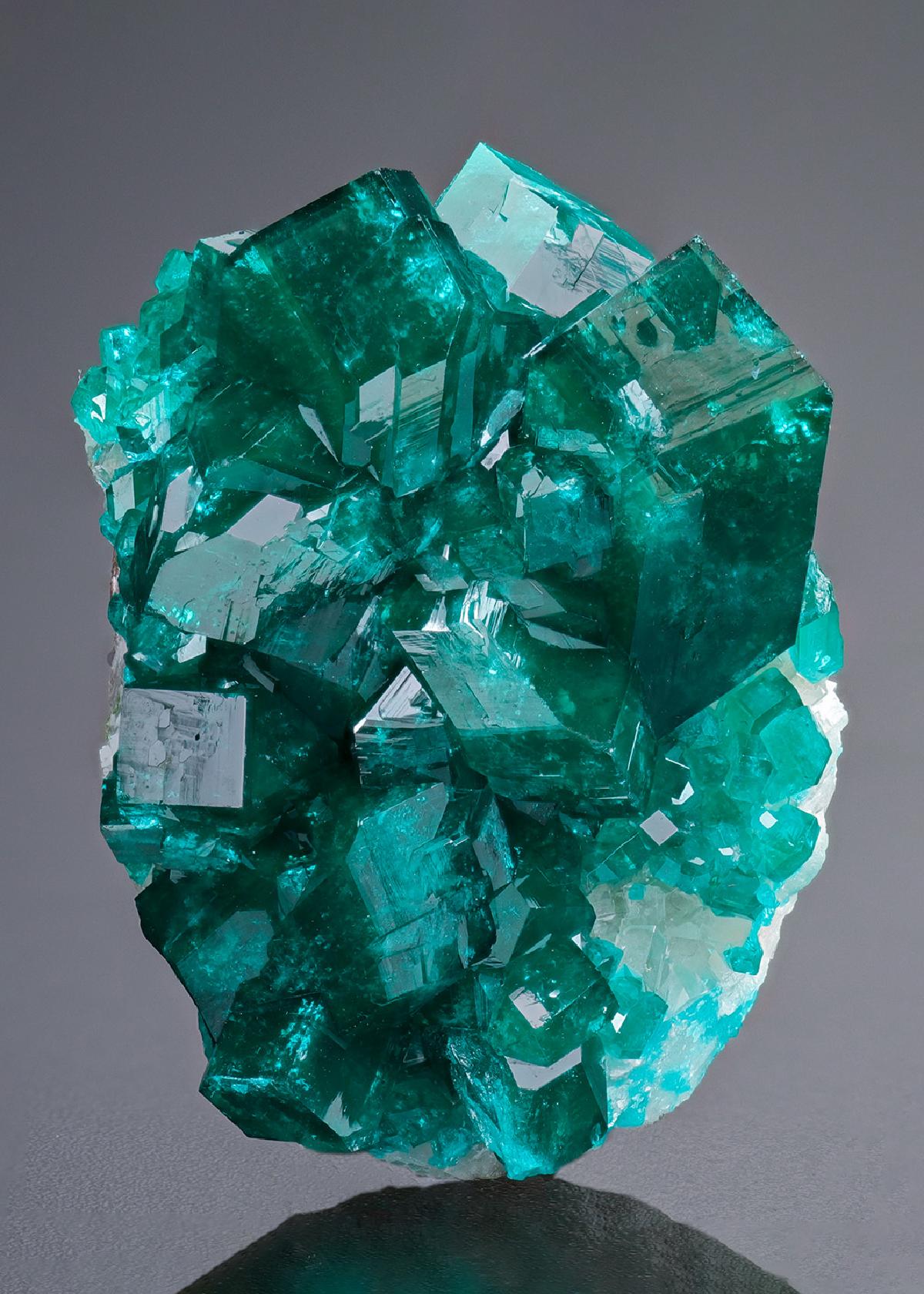 CC18843 specimen image
