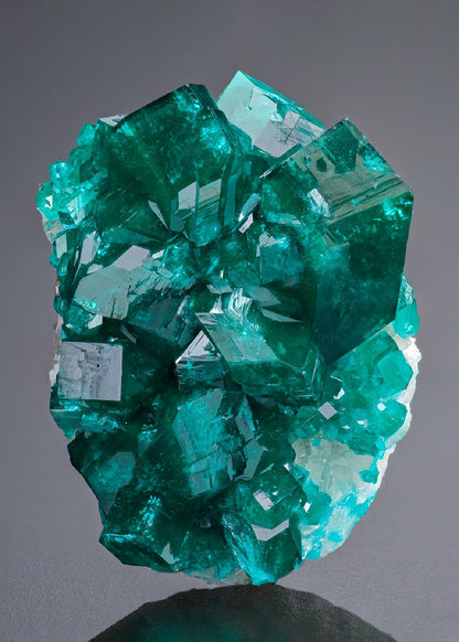 CC18843 specimen image