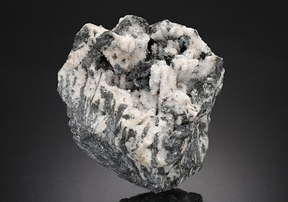 CC18847 specimen image
