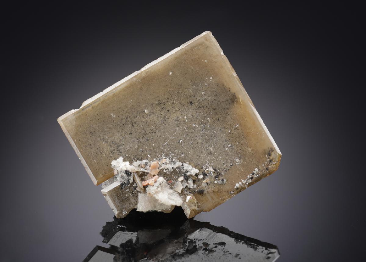 CC18849 specimen image