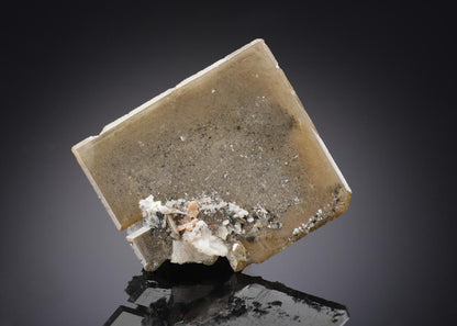 CC18849 specimen image