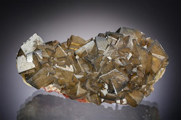CC18857 specimen image