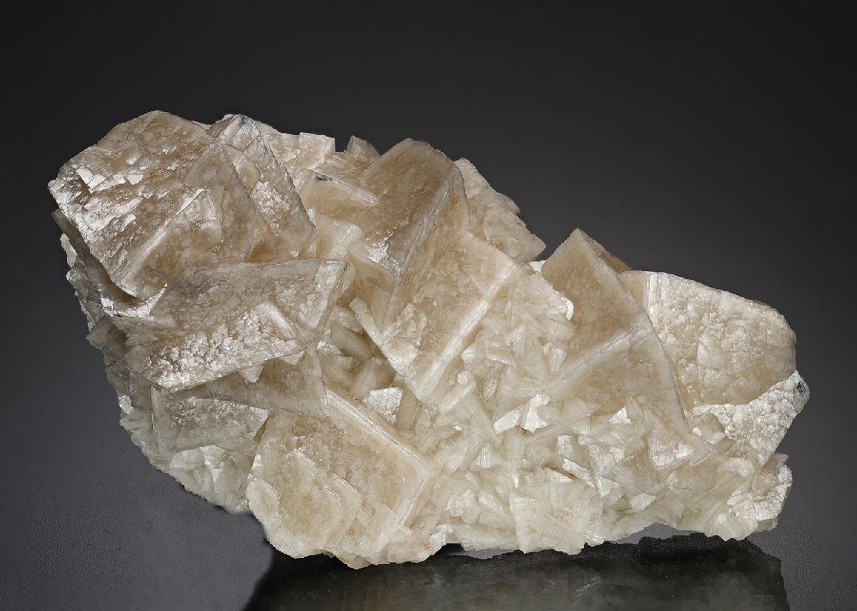 CC18861 specimen image