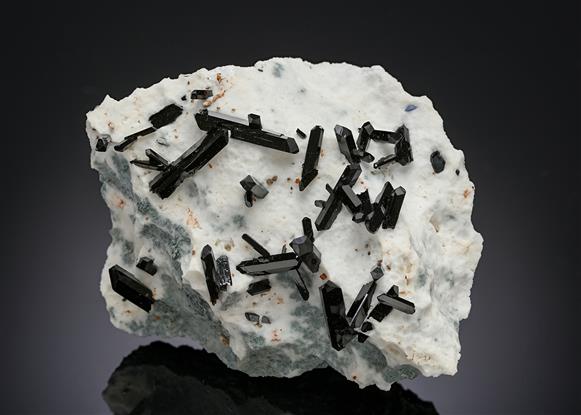 CC18865 specimen image