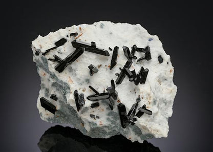 CC18865 specimen image