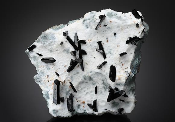 CC18866 specimen image