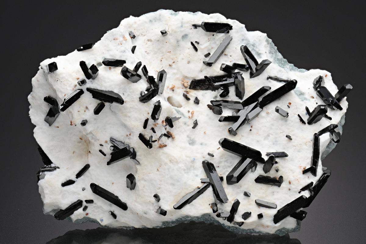 CC18867 specimen image