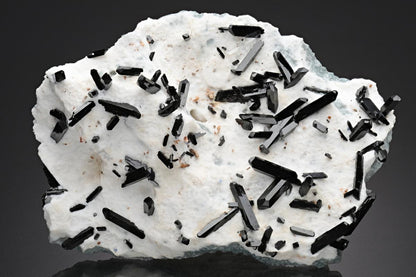 CC18867 specimen image