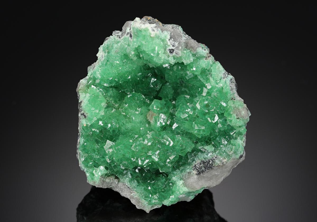 CC18890 specimen image