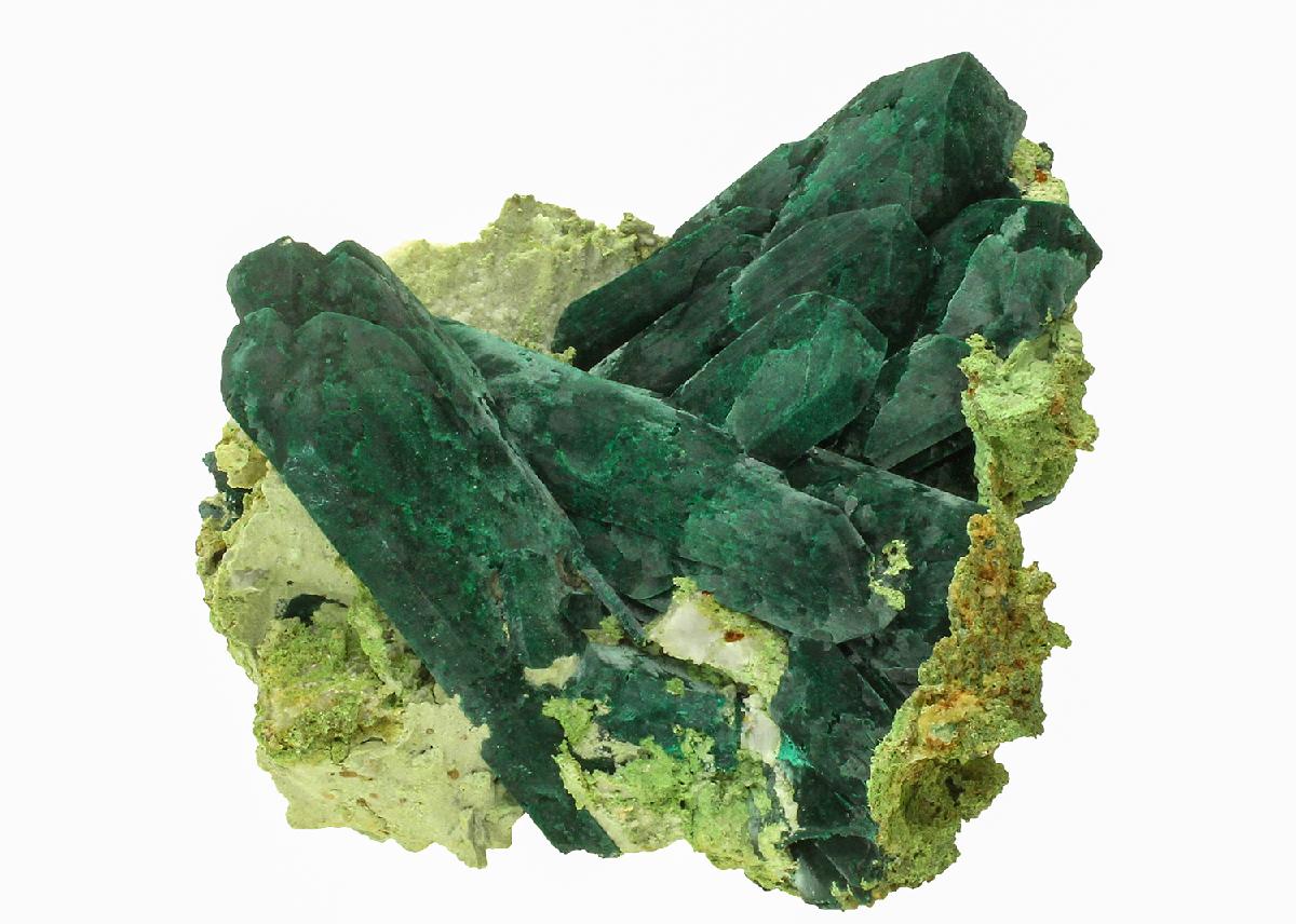 CC18899 specimen image